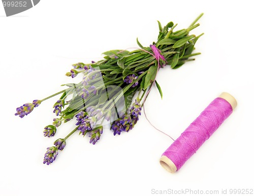 Image of Lavender small bouquet