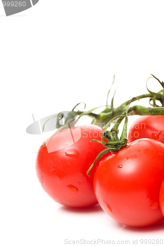 Image of fresh tomatoes