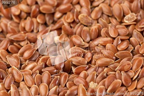 Image of Linseed