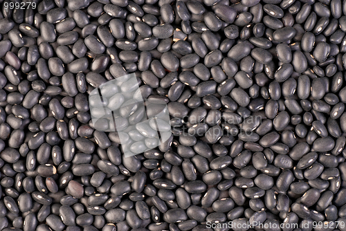 Image of Frijoles