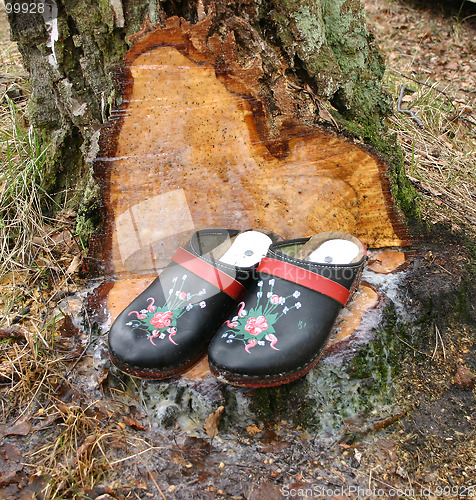 Image of wood  shoes