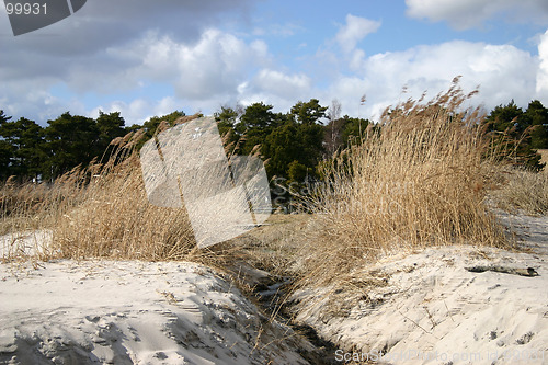 Image of beach