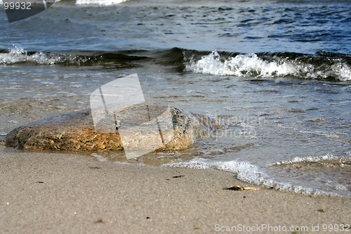 Image of stone at the beach