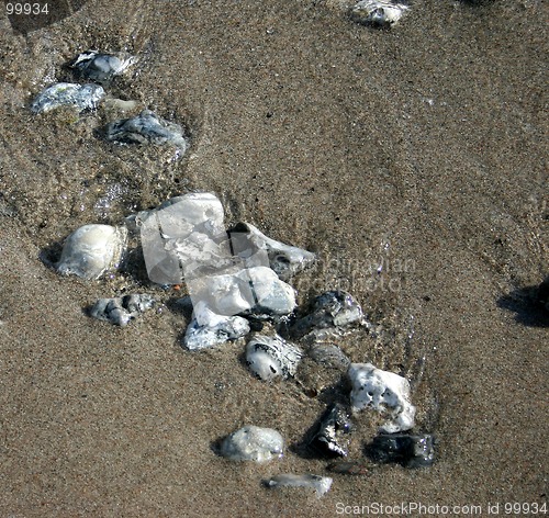 Image of stone at the beach