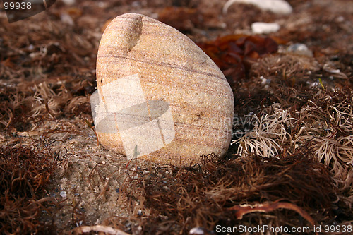 Image of stone at the beach