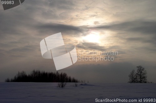 Image of Winter Landscape