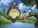 vecino-totoro vecino-totoro