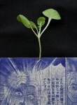 manga-comics-planters-5