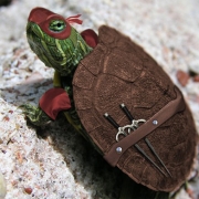 Ninja-Turtle-in-Real-Life Tortuga Ninja en la vida real 2