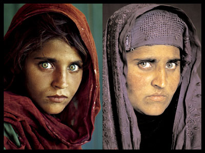 McCurrycomparacion