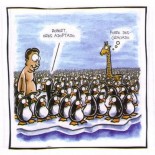 ni-puta-gracia-03