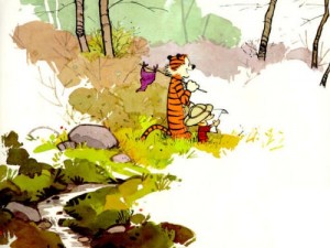 Calvin y Hobbes Calvin y Hobbes