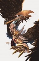 sav_hawkman_darknessrising