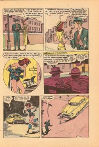 black-cat-025-1