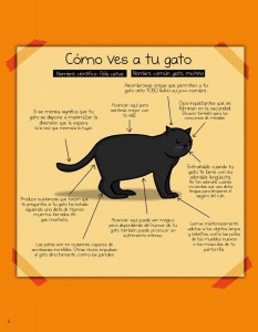Página Cómo saber si tu gato planea matarte - 01