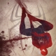 Spiderman - Anthony Genuardi
