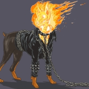 Josh Lynch – Motorista Fantasma perro Josh Lynch - Motorista Fantasma perro