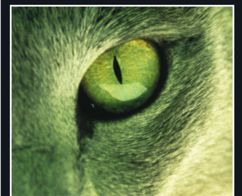 Portada Kafka en la orilla