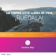 Rueda por el Cambio”, un concurso online de cortos que busca tu conexión con la Tierra 26 Rueda por el Cambio”, un concurso online de cortos que busca tu conexión con la Tierra 10