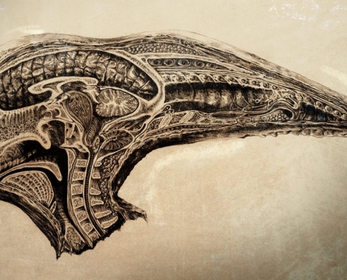 Dane Hallett - Alien Covenant (06)