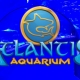 Atlantis Aquarium, un océano en Madrid 25 Atlantis Aquarium, un océano en Madrid 11