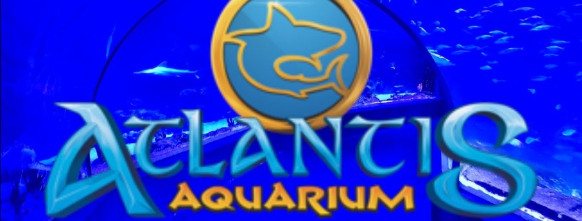 Atlantis Aquarium, un océano en Madrid 1 Atlantis Aquarium, un océano en Madrid 1