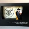 Playmobil Harry Potter (Custom) - Enmarcado para coleccionistas
