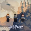 Cuadro de minifiguras Harry Potter 2 Cuadro de minifiguras Harry Potter