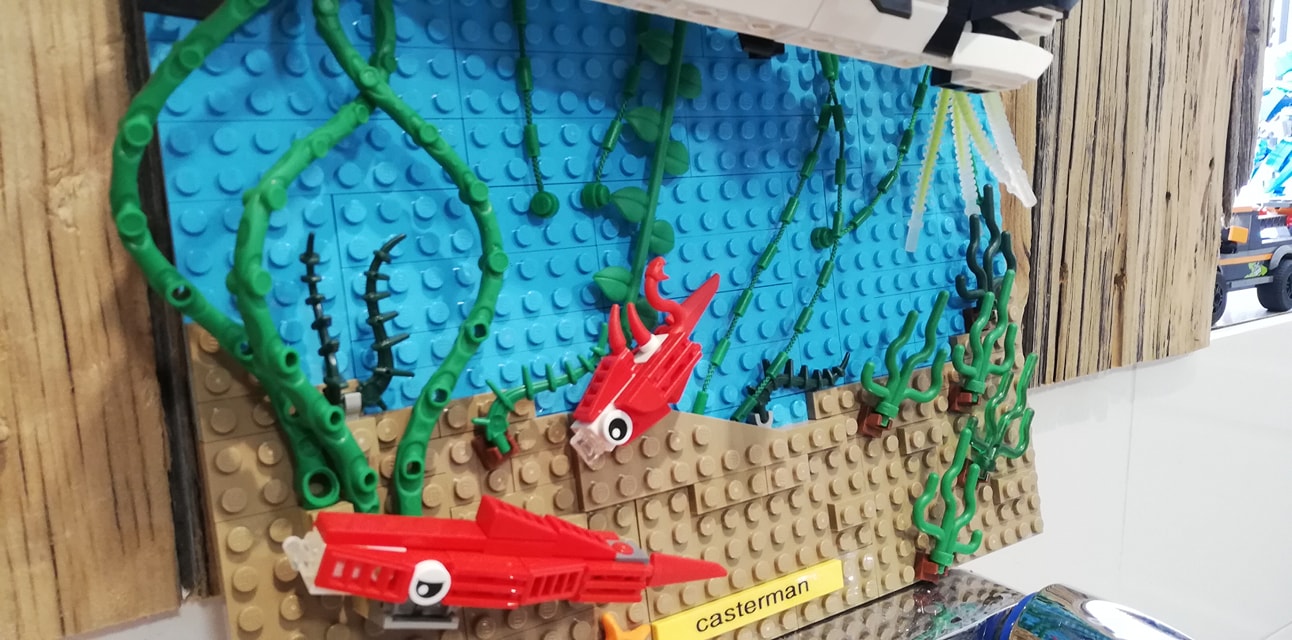 El tesoro de Rackham el Rojo Lego - 05