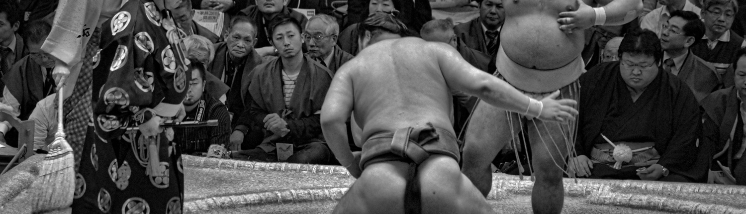 Viajes 16 Sumo en Tokio