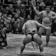 Sumo en Tokio