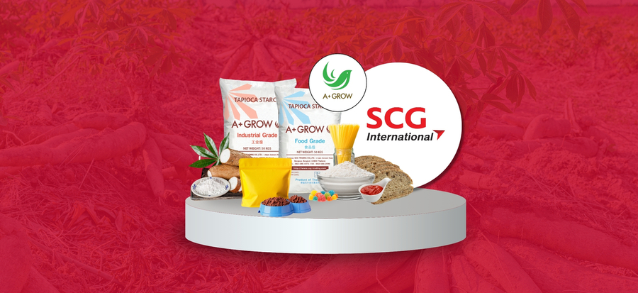 SCG International Solutions to Address Starch Supply Chain Management with End-to-End Supply Chain Strategies