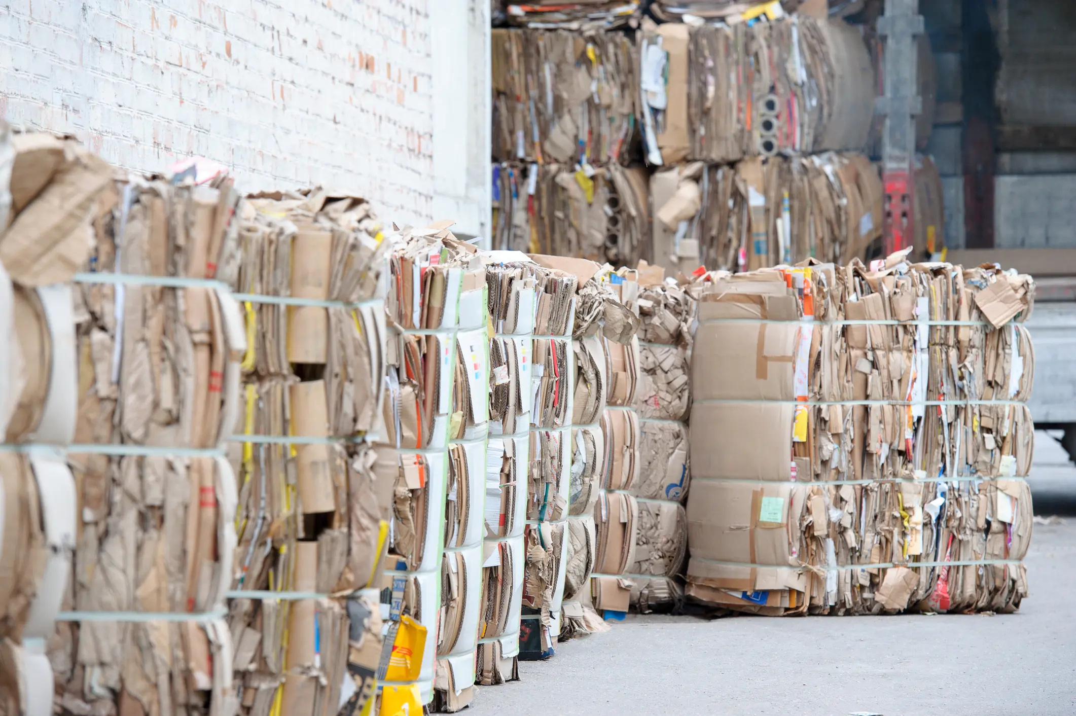 Recycled Paper by SCG International