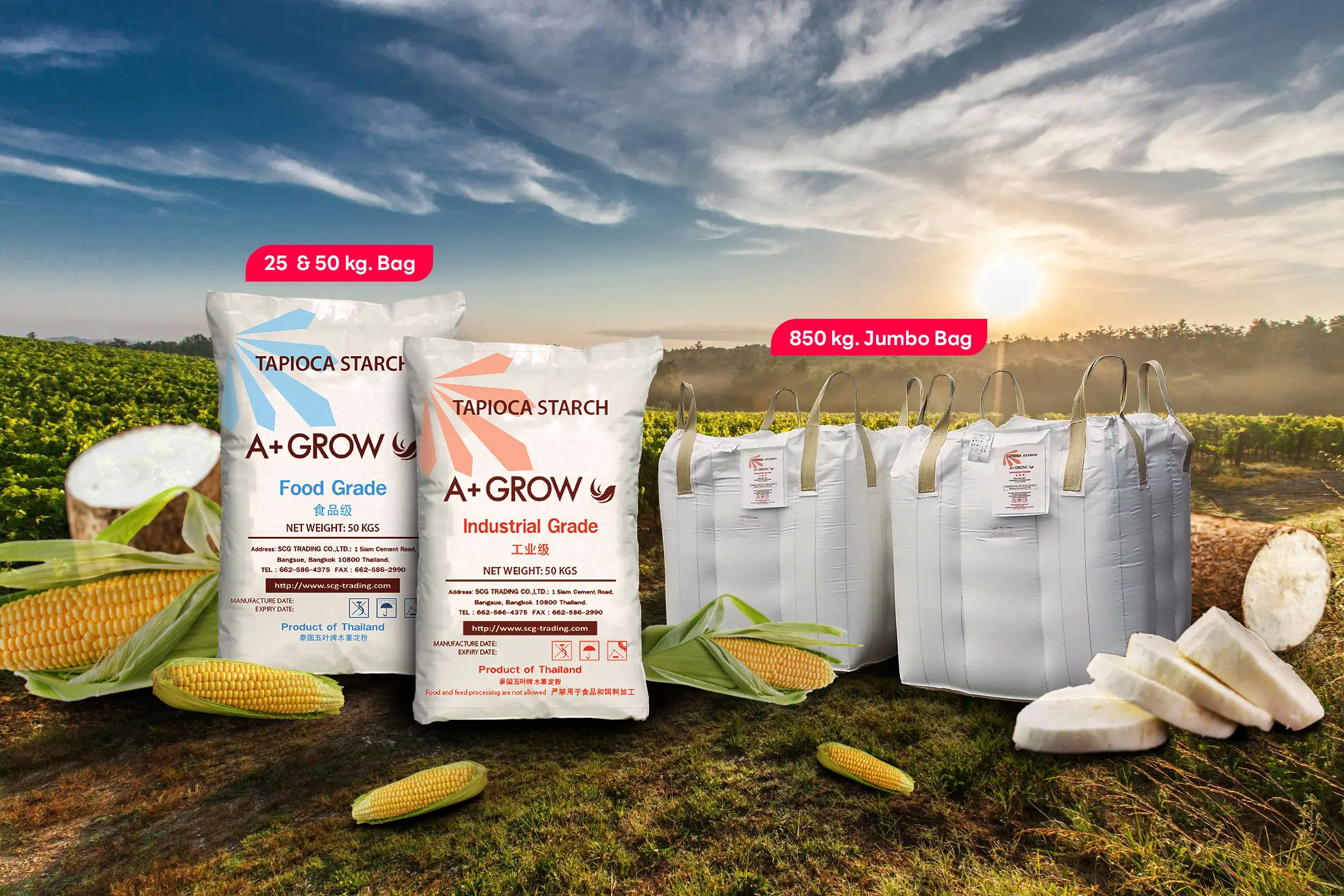 A+ Grow is an industrial and food-grade starch supplier