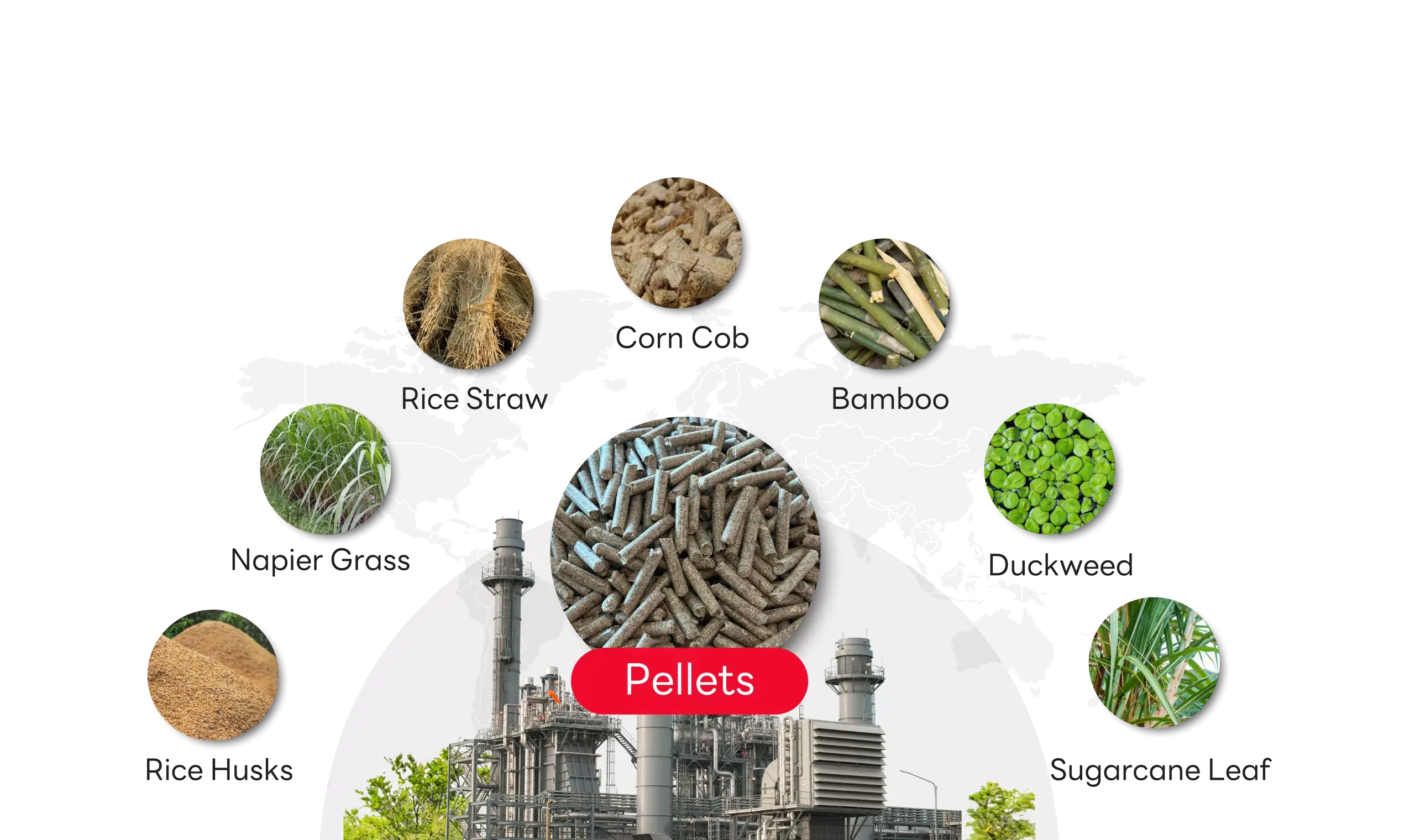 Agricultural waste by SCG International