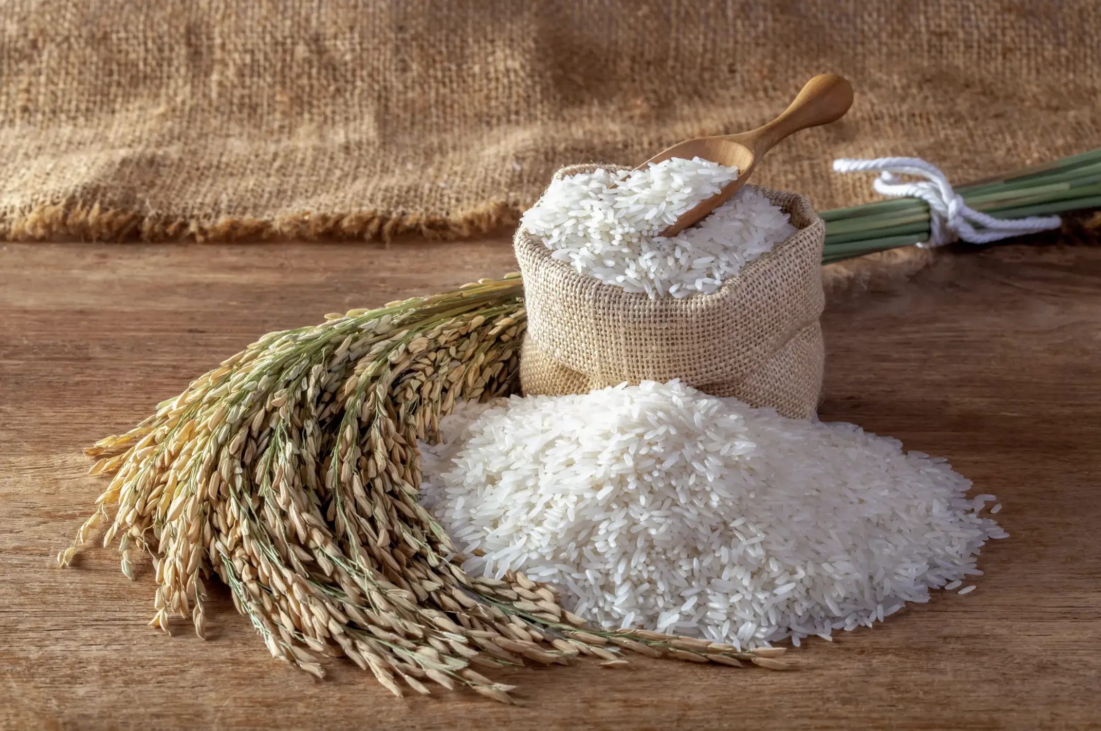 rice and flour sourcing by SCG International