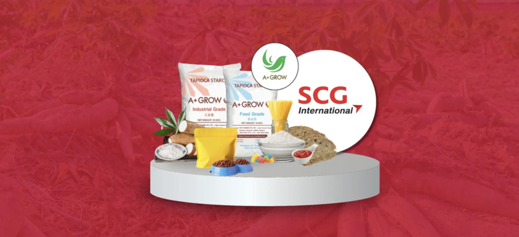 SCG International Solutions to Address Starch Supply Chain Management with End-to-End Supply Chain Strategies SCG International Solutions to Address Starch Supply Chain Management with End-to-End Supply Chain Strategies