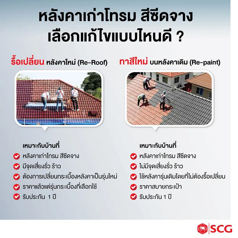 เปรียบเทียบบริการรื้อเปลี่ยนหลังคา (Re-Roof) และทาสีหลังคา (Roof Repaint) จาก SCG Roof Renovation