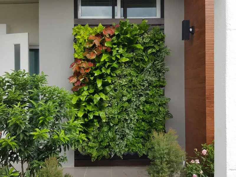 ตกแต่งสวนด้วย SCG Modular Green Hive ชุด DIY