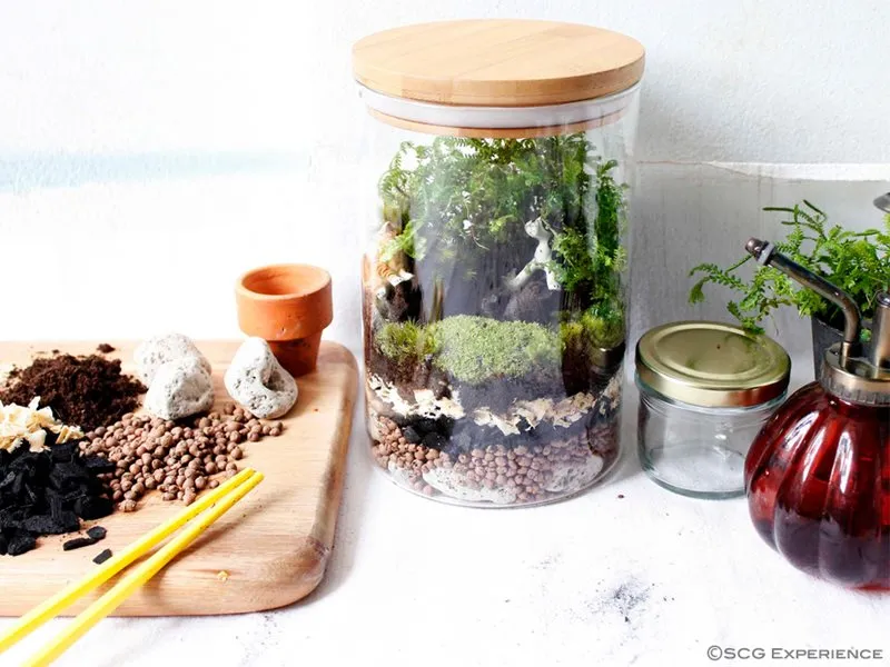 Terrarium DIY สวนในขวดแก้ว เรื่องสนุกสำหรับทุกคนในครอบครัว