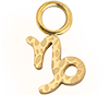 Zodiac Capricorn (Oro)