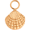 Cute Shell (Rose Gold)