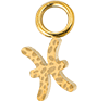 Zodiac Pisces (Gold)