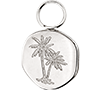 Palmera Coin (Argento)