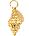 Conch Shell (Gold)