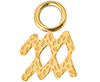 Zodiac Aquarius (Gold)