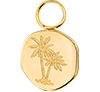 Palmera Coin (Oro)