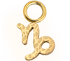 Zodiac Capricorn (Gold)
