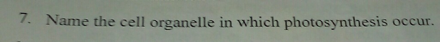 7 Name The Cell Organelle In Which Photosynthesis Occur Scholr