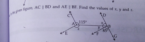 E Ac And Ae Bf Find The Values Of X Y And Z Given Scholr